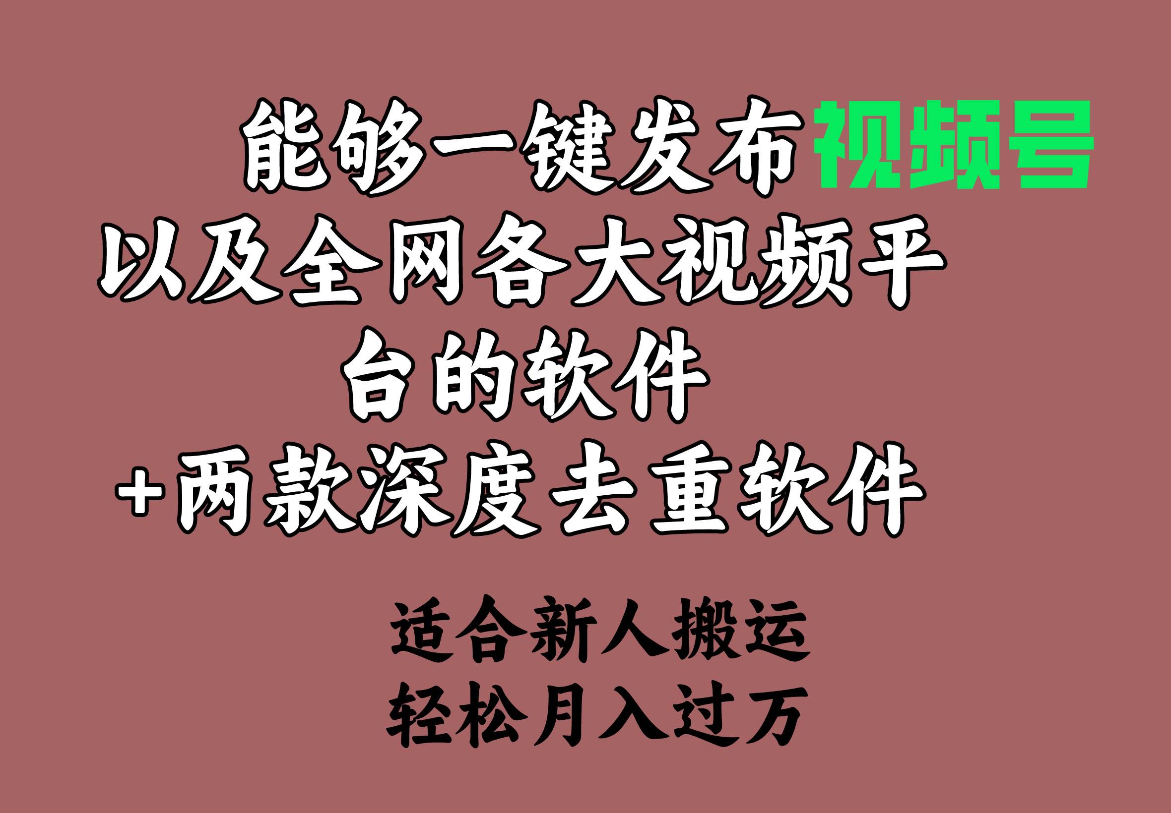 能够一键发布视频号以及全网各大视频平台的软件+两款深度去重软件 适合…-项目网资源站