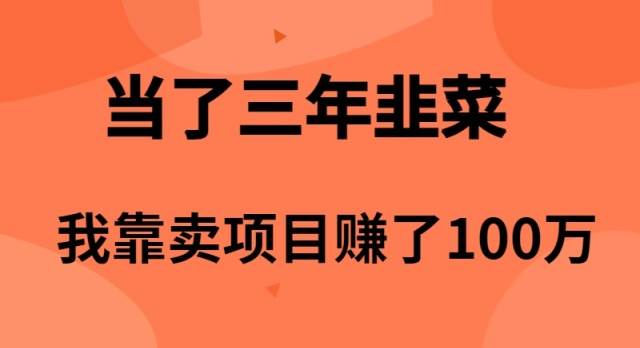 当了3年韭菜，我靠卖项目赚了100万-项目网资源站