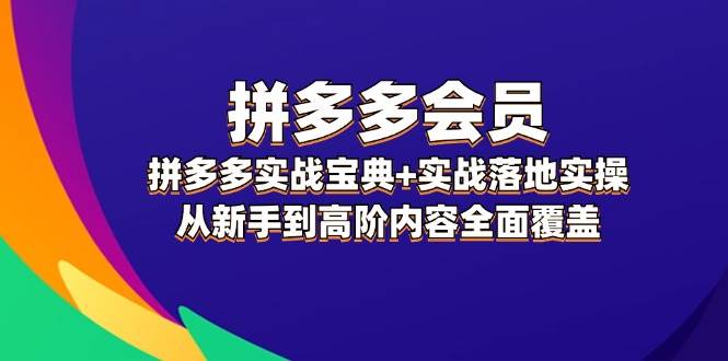 拼多多 会员，拼多多实战宝典+实战落地实操，从新手到高阶内容全面覆盖-项目网资源站