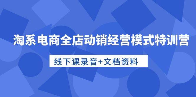 淘系电商全店动销经营模式特训营，线下课录音+文档资料-项目网资源站
