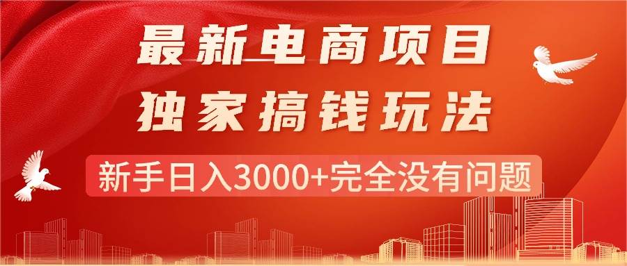 最新电商项目-搞钱玩法，新手日入3000+完全没有问题-项目网资源站