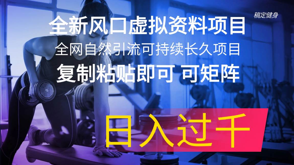 全新风口虚拟资料项目 全网自然引流可持续长久项目 复制粘贴即可可矩阵…-项目网资源站