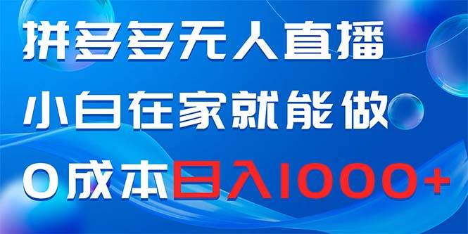 拼多多无人直播，小白在家就能做，0成本日入1000+-项目网资源站