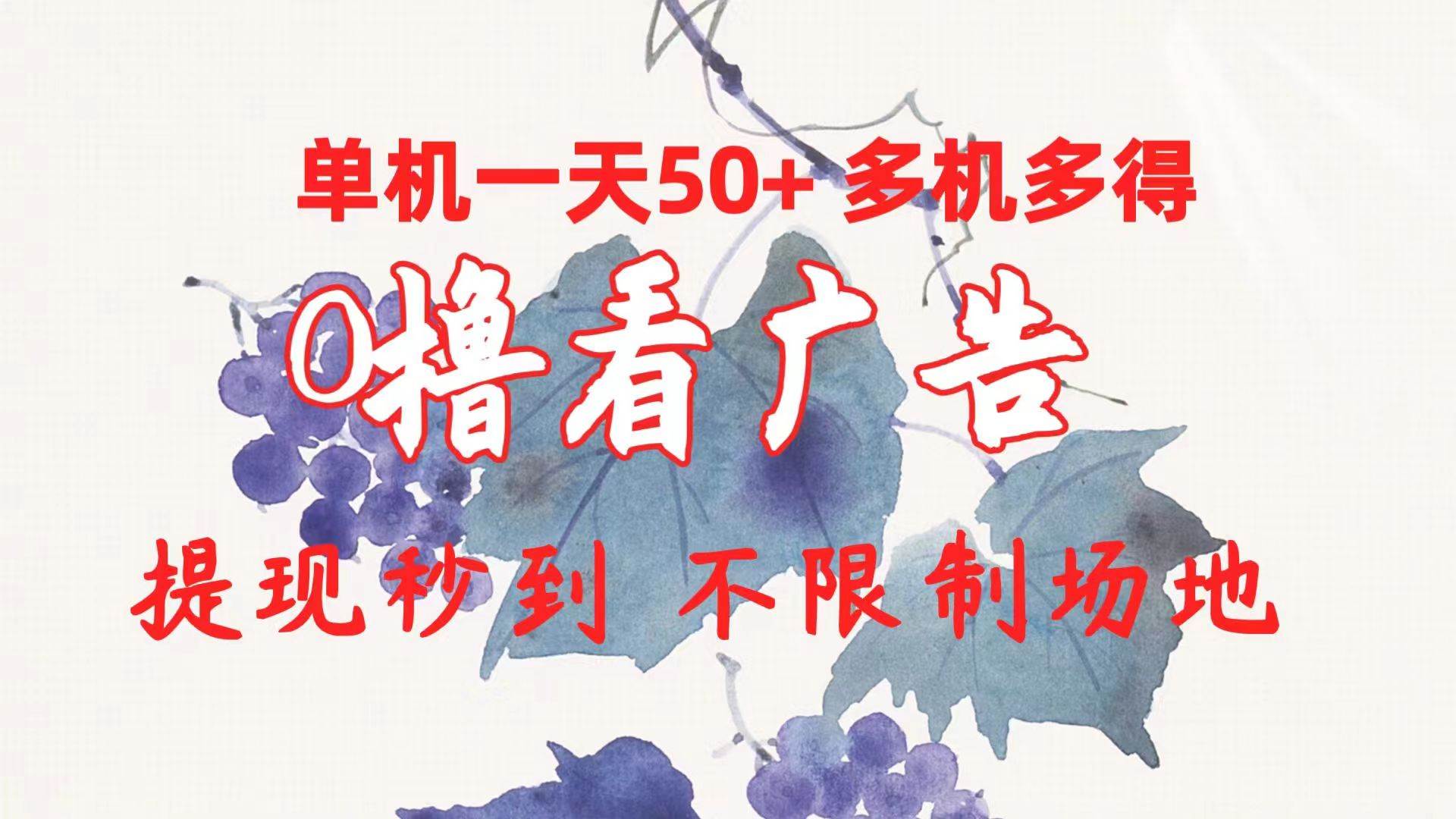 0撸看广告 单机一天50+多机多得 提现秒到 不限制场地操作-项目网资源站