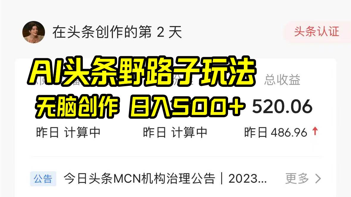 AI头条野路子玩法，无脑创作，日入500+-项目网资源站