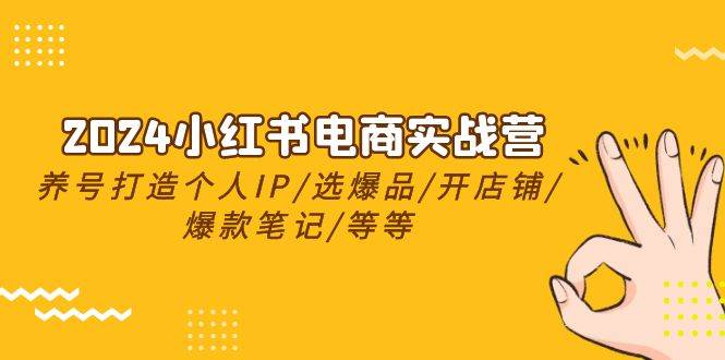 2024小红书电商实战营，养号打造IP/选爆品/开店铺/爆款笔记/等等（24节）-项目网资源站