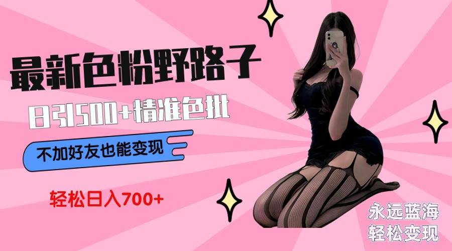 最新色粉变现野路子，日引500+老色批 可不加好友直接变现 小白轻松日入700+-项目网资源站