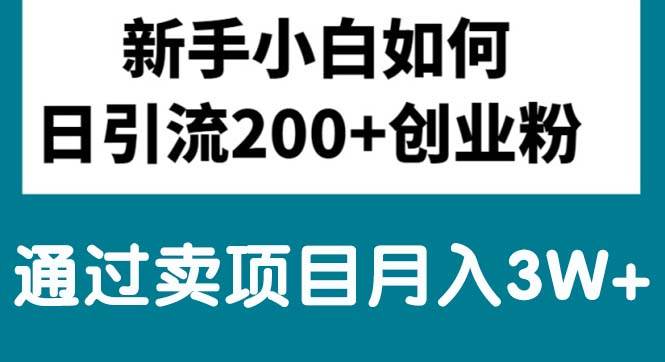 新手小白日引流200+创业粉,通过卖项目月入3W+-项目网资源站