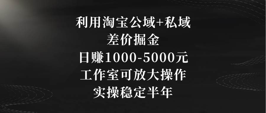 利用淘宝公域+私域差价掘金，日赚1000-5000元，工作室可放大操作，实操…-项目网资源站