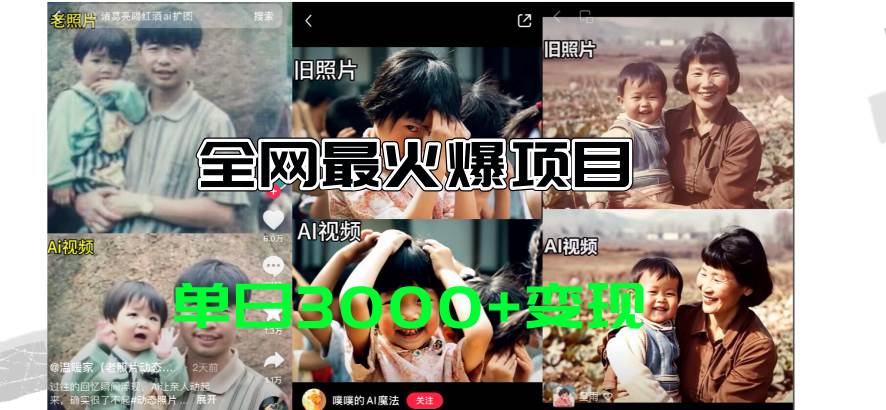 全网爆火的AI让老照片动起来教程，蹭热点日赚3000+，内含免费工具一键…-项目网资源站