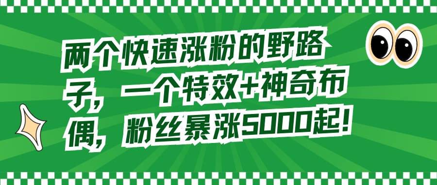两个快速涨粉的野路子，一个特效+神奇布偶，粉丝暴涨5000起！-项目网资源站