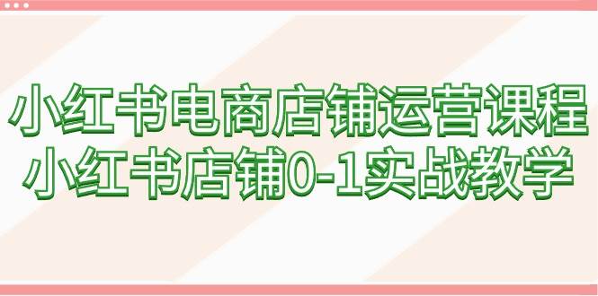 小红书电商店铺运营课程，小红书店铺0-1实战教学（60节课）-项目网资源站