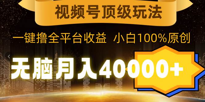 视频号顶级玩法，无脑月入40000+，一键撸全平台收益，纯小白也能100%原创-项目网资源站