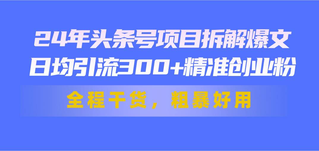 24年头条号项目拆解爆文，日均引流300+精准创业粉，全程干货，粗暴好用-项目网资源站
