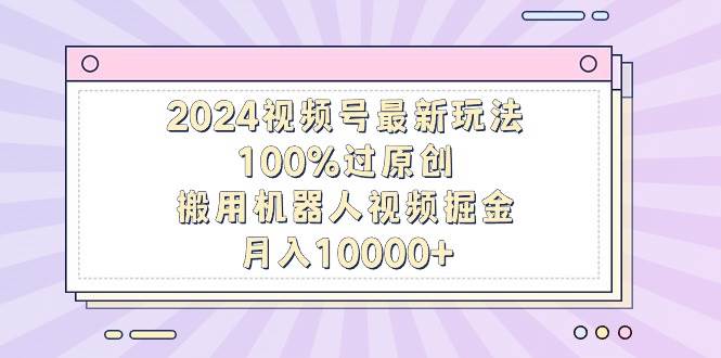 2024视频号最新玩法，100%过原创，搬用机器人视频掘金，月入10000+-项目网资源站