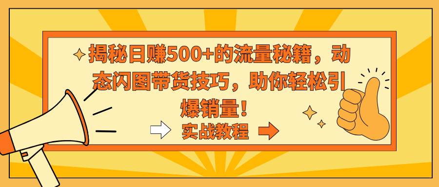 揭秘日赚500+的流量秘籍，动态闪图带货技巧，助你轻松引爆销量！-项目网资源站