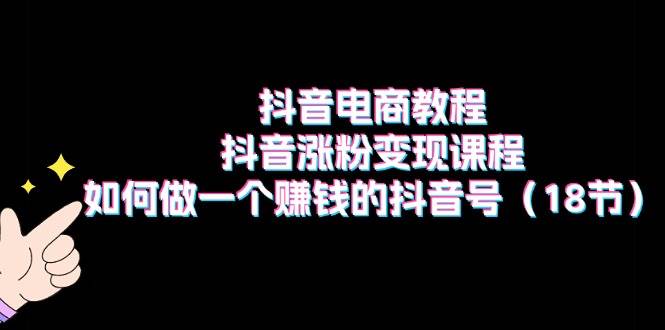 抖音电商教程：抖音涨粉变现课程：如何做一个赚钱的抖音号（18节）-项目网资源站