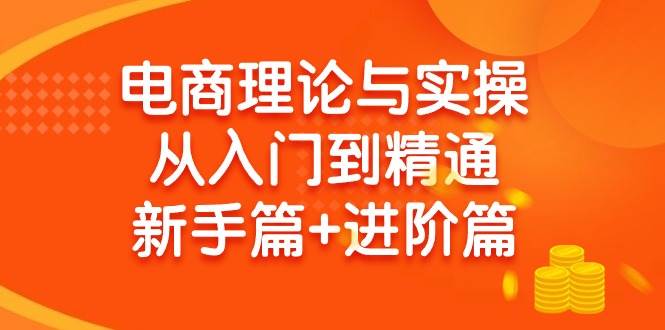 电商理论与实操从入门到精通 新手篇+进阶篇-项目网资源站