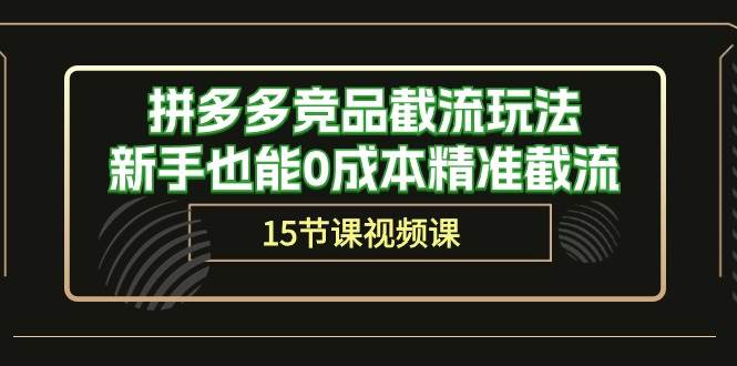 拼多多竞品截流玩法，新手也能0成本精准截流（15节课）-项目网资源站
