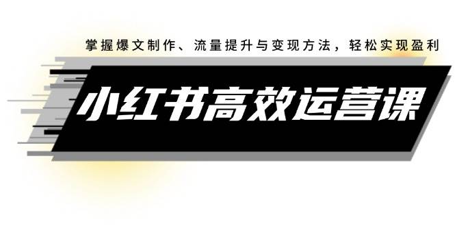 小红书高效运营课：掌握爆文制作、流量提升与变现方法，轻松实现盈利-项目网资源站