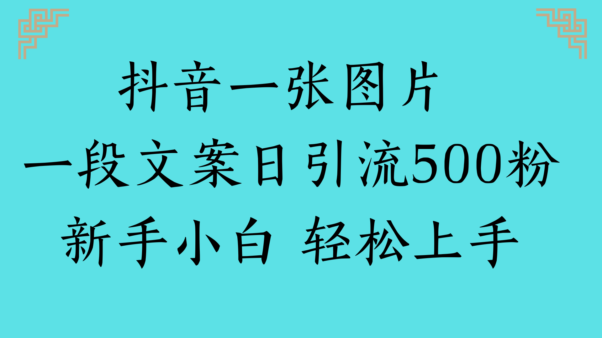 抖音一张图片 一段文案日引流500粉新手小白 轻松上手-项目网资源站