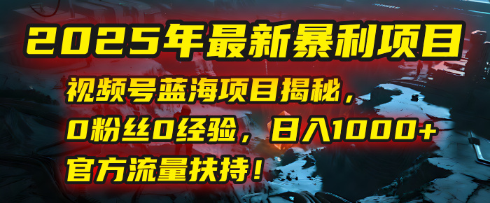 2025年最新暴利项目：视频号蓝海项目揭秘，0粉丝0经验，日入1000+，官方流量扶持！-项目网资源站