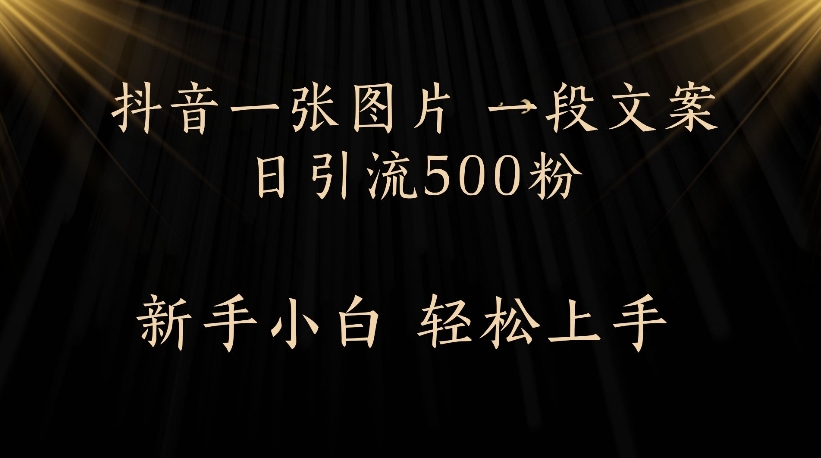 抖音一张图片，一段文案日引流500粉，新手小白 轻松上手-项目网