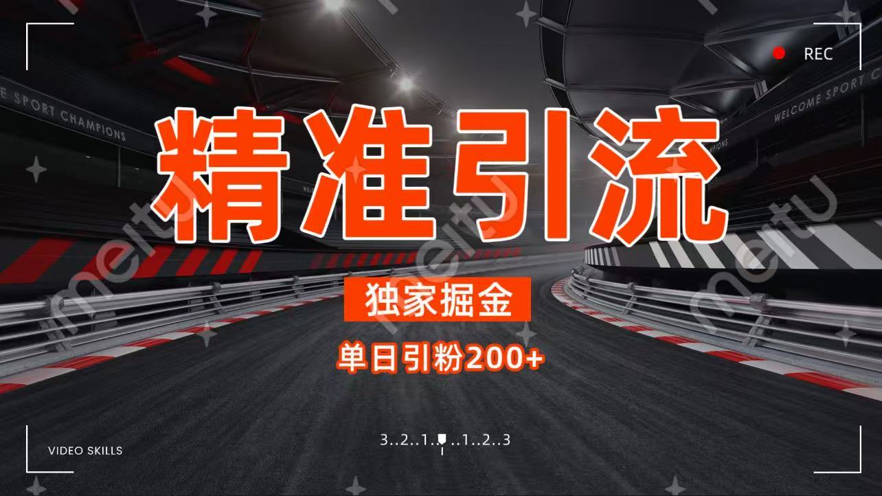 独家野路子精准引流 每日200+-项目网