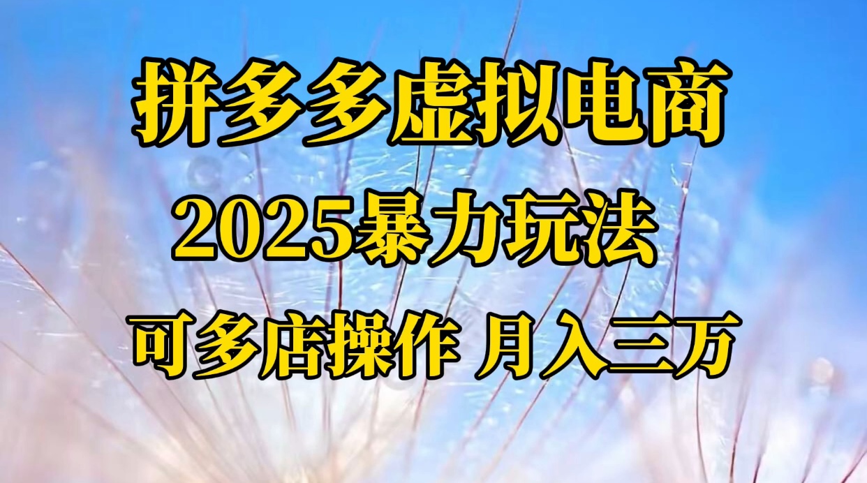 拼多多虚拟电商，不囤货不垫资的虚拟电商-项目网