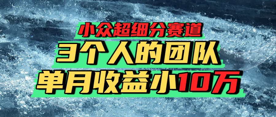 小众超细分赛道，一年百万利润的盘子！-项目网