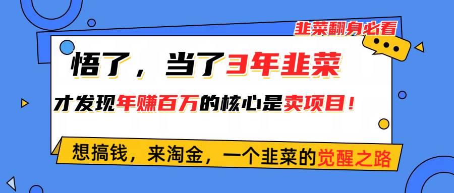 悟了，当了3年韭菜，才发现网赚圈年赚100万的核心是卖项目，含泪分享！-项目网