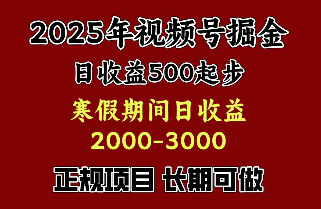 最新视频号项目，单账号日收益500起步，寒假期间日收益2000-3000左右，-项目网