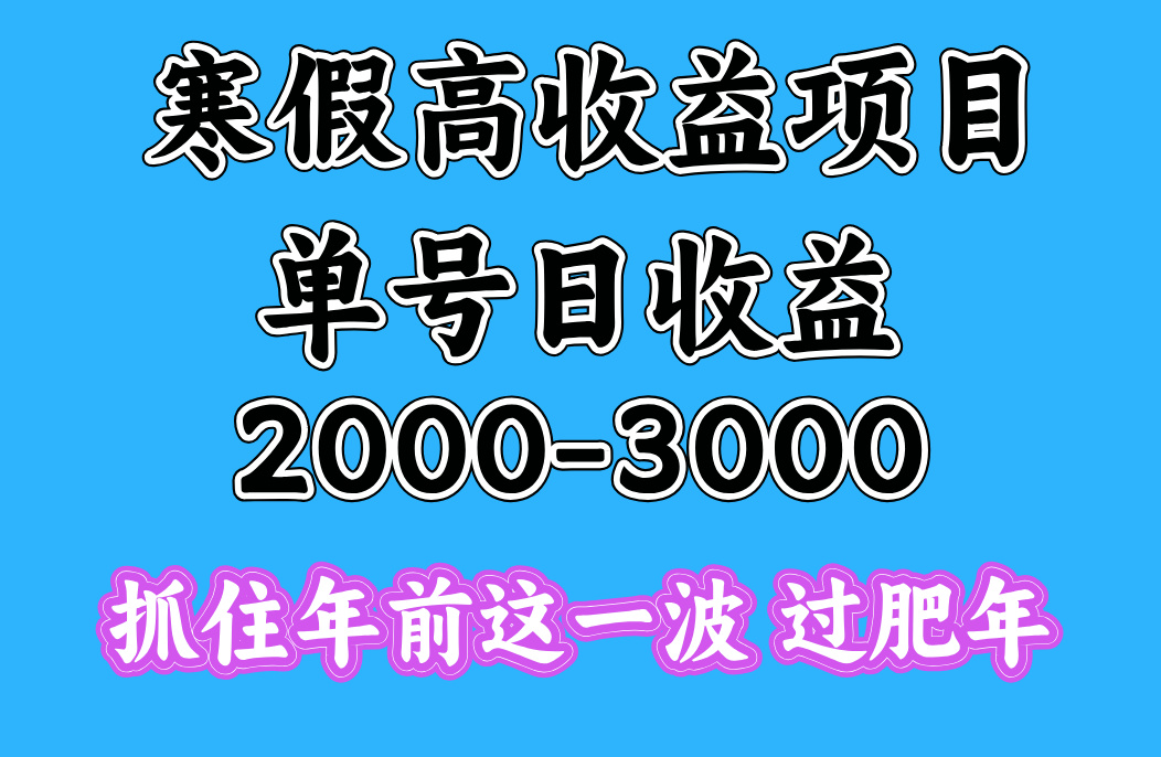 寒假期间一天收益2000-3000+，抓住年前这一波-项目网