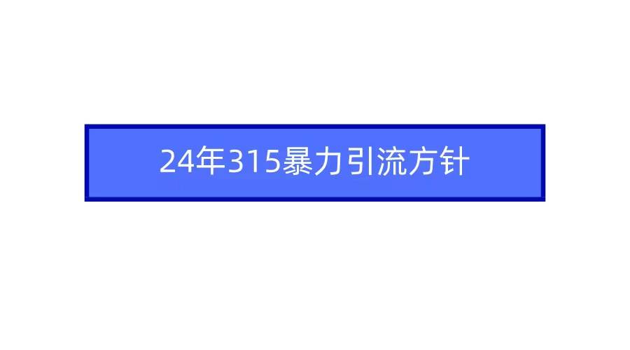 2024年315暴力引流方针-项目网