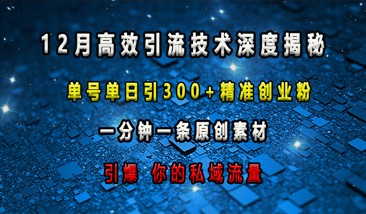 12月高效引流技术深度揭秘 ，单号单日引300+精准创业粉，一分钟一条原创素材，引爆你的私域流量-项目网