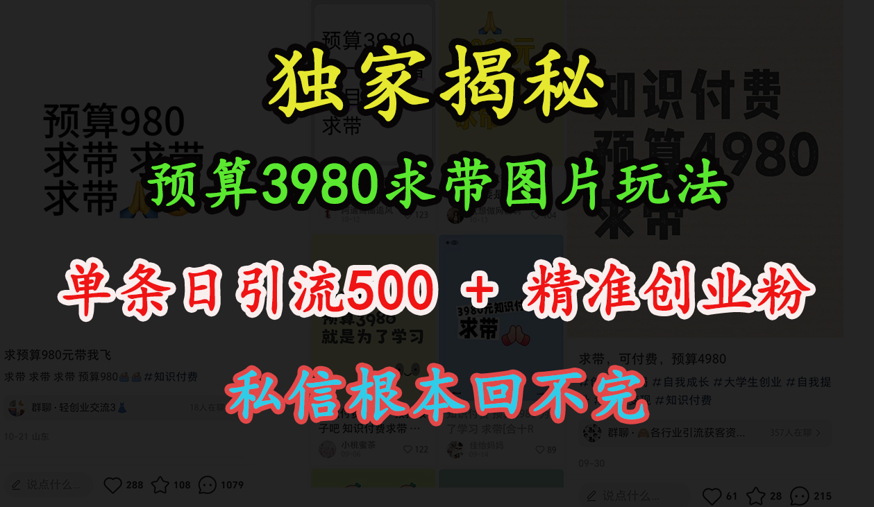 “小红书”预算3980求带 图片玩法，单条日引流500+精准创业粉，私信根本回不完-项目网
