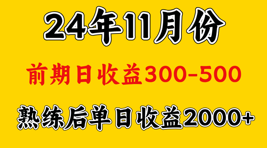 轻资产项目，前期日收益500左右，后期日收益1500-2000左右，多劳多得-项目网