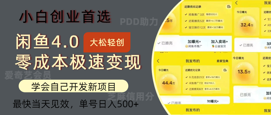 闲鱼0成本极速变现项目，多种变现方式，单号日入500+最新玩法-项目网