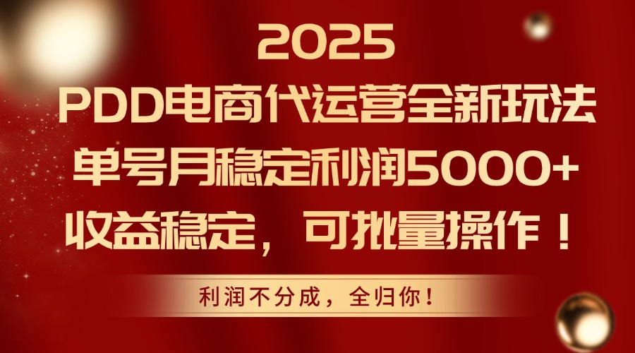 2025 PDD电商代运营全新玩法，单号月稳定利润5000+，收益稳定，可批量操作！-项目网