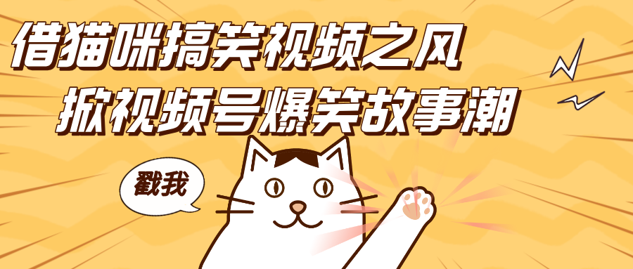 借猫咪搞笑视频之风，掀视频号爆笑故事潮，轻松日赚四位数，开启无门槛赚钱新体验！-项目网