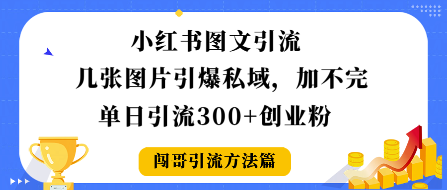 小红书图文引流，几张图片引爆私域加不完，单日引流300＋创业粉-项目网
