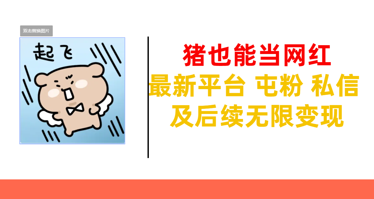 猪也能当网红-最新平台 屯粉 交流 私信 及后续无限变现-项目网