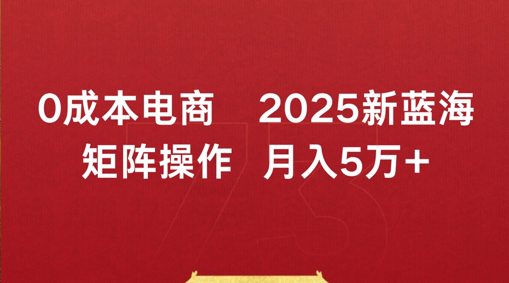 0成本电商2025新蓝海矩阵操作 月入5万+-项目网