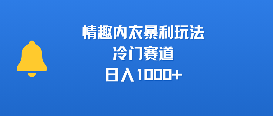 情趣内衣暴利玩法，冷门赛道，日入1000+-项目网