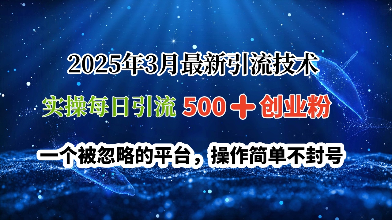 2025年3月最新引流技术，实操每日引流500➕创业粉，一个被忽略的平台，操作简单不封号-项目网