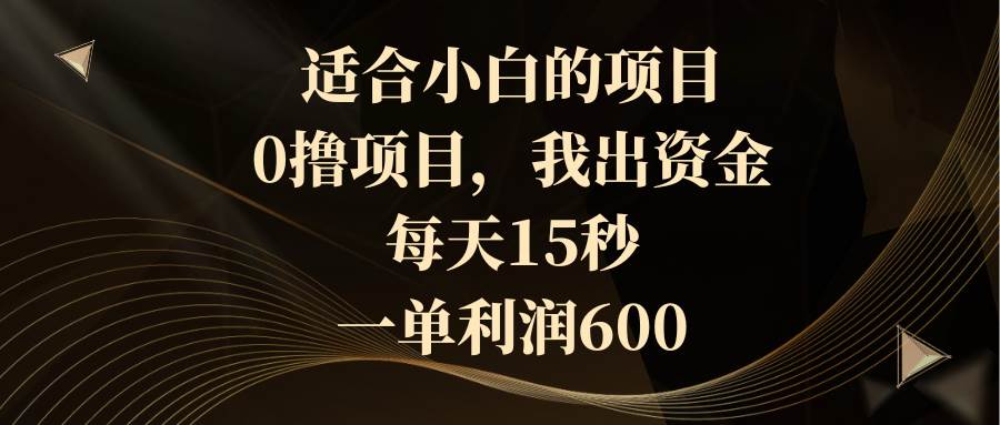 适合小白的项目，0撸项目，我出资金，每天15秒，一单利润600-项目网