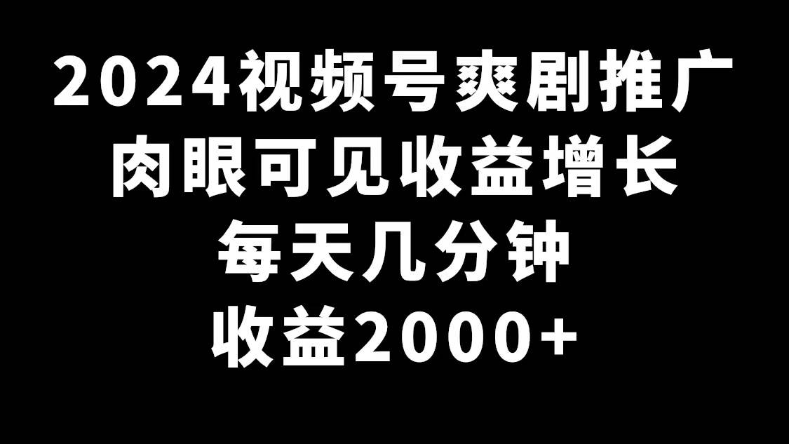 2024视频号爽剧推广，肉眼可见的收益增长，每天几分钟收益2000+-项目网