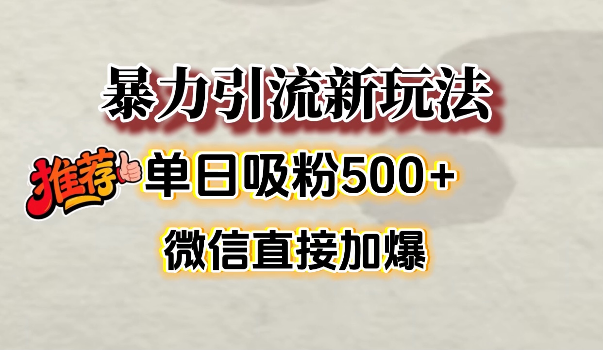 微信加爆的引流超级方法，单日吸粉500➕-项目网