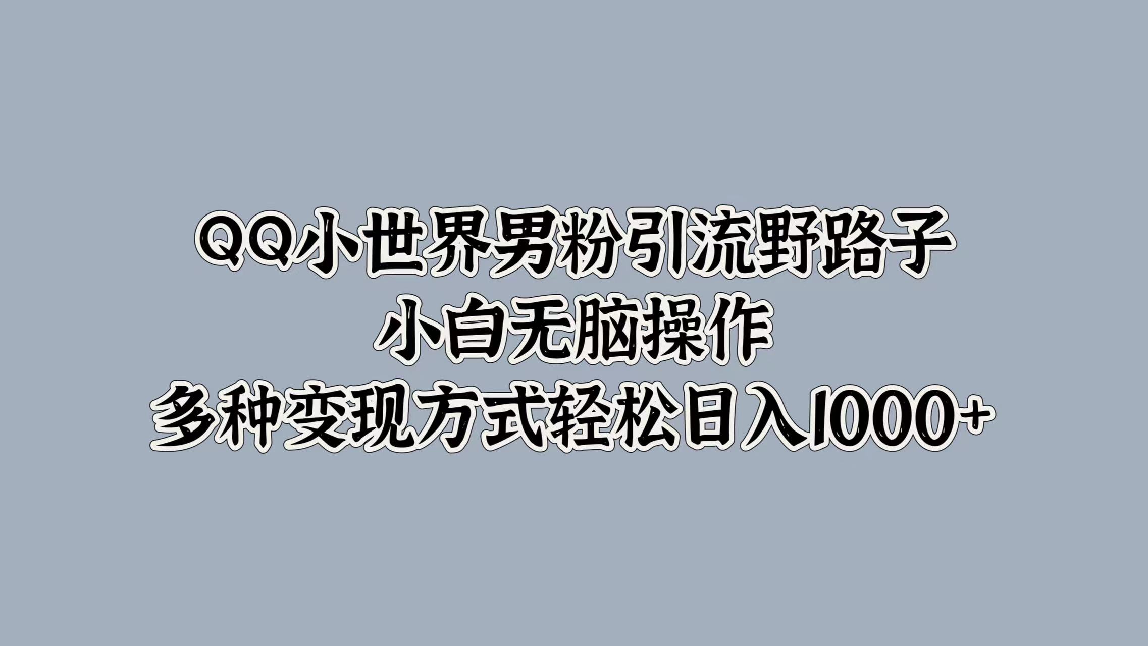 QQ小世界男粉引流野路子，小白无脑操作，多种变现方式轻松日入1000+-项目网