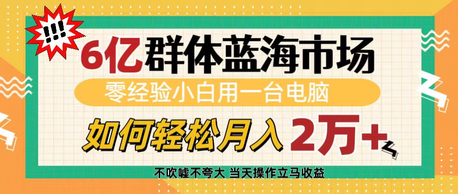 6亿群体蓝海市场，零经验小白用一台电脑，如何轻松月入2万+-项目网